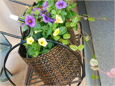 使い方　玄関編　まるがた受具　スマート受け具　小物　アレンジ